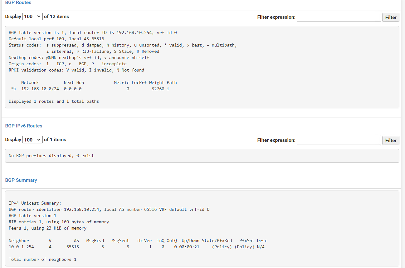bgp route sumarry